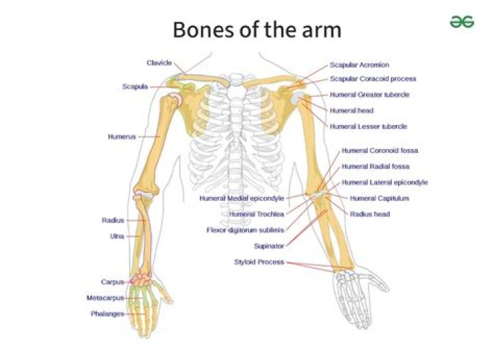 How is ARM calculated?