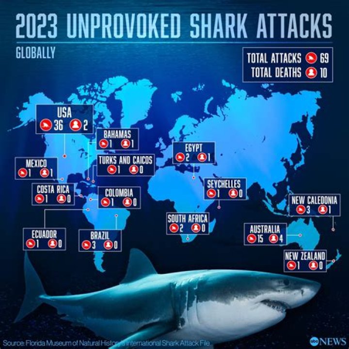 How many shark attacks happened in 2015?