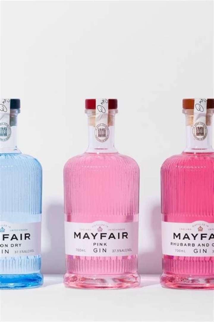 Is Mayfair Gin good?