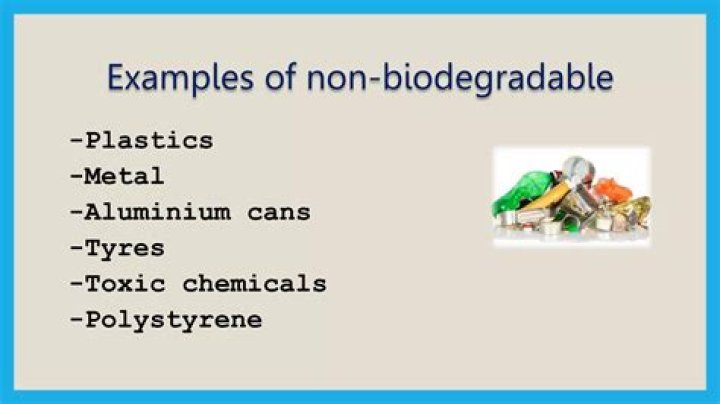 What are examples of non-biodegradable pollutants?