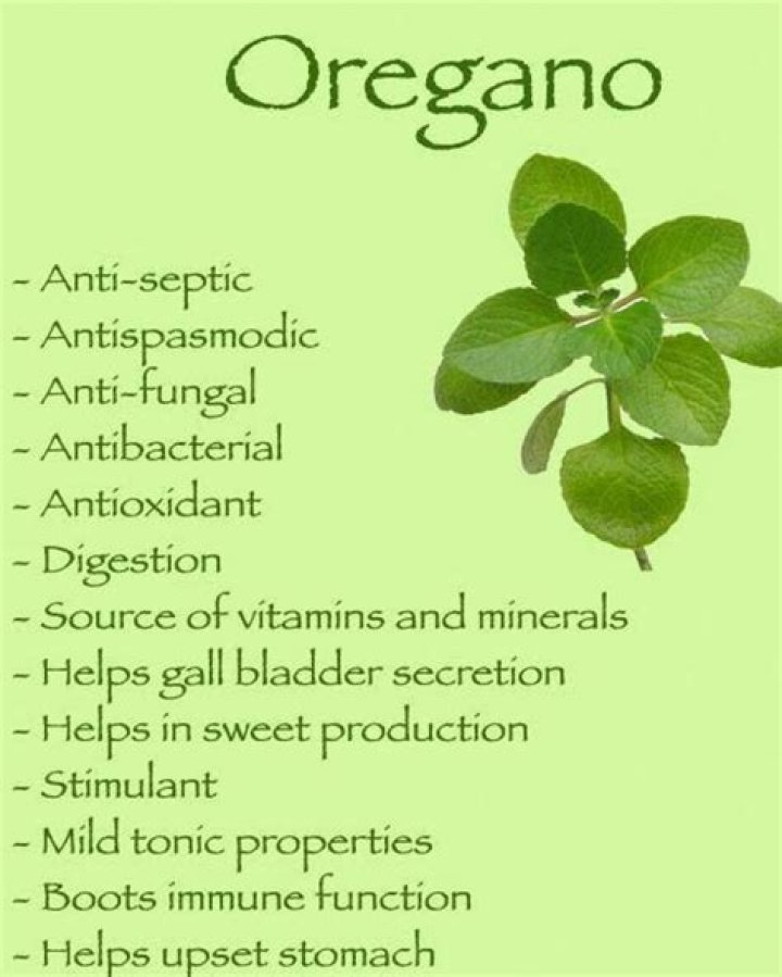 What are the benefits of oregano leaves?