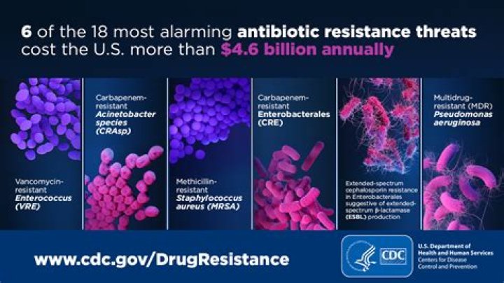 What is fitness cost of antibiotic resistance?