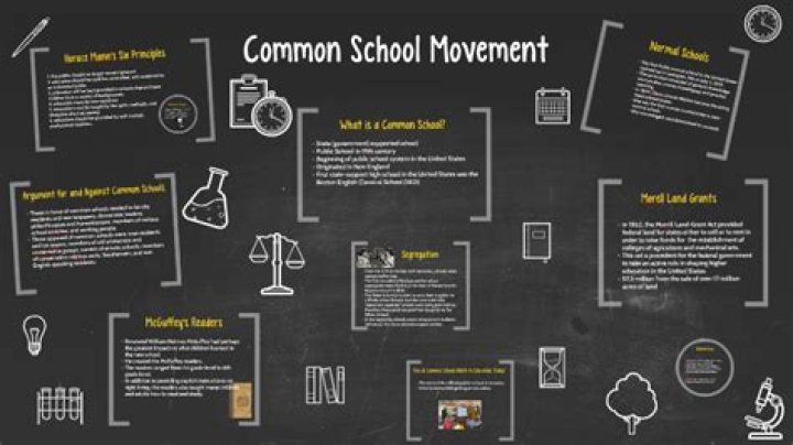 What was a major goal of the common schools movement?