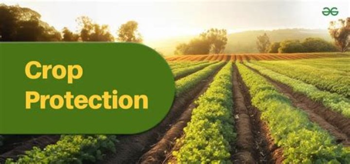 Which are the most popular crop protection products?