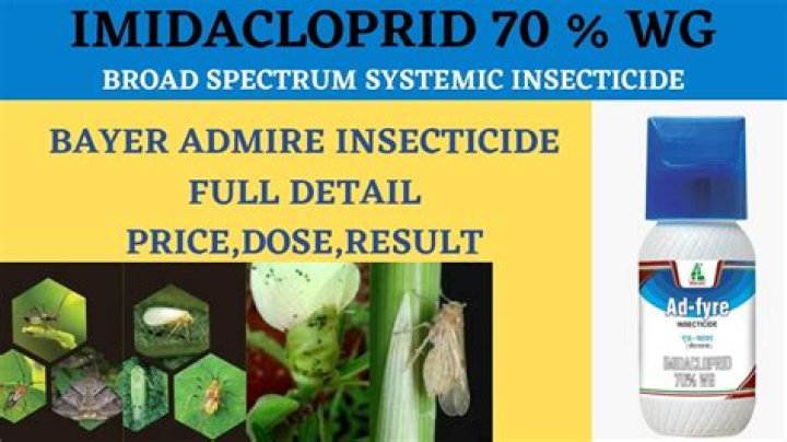 Which insecticide has Imidacloprid?